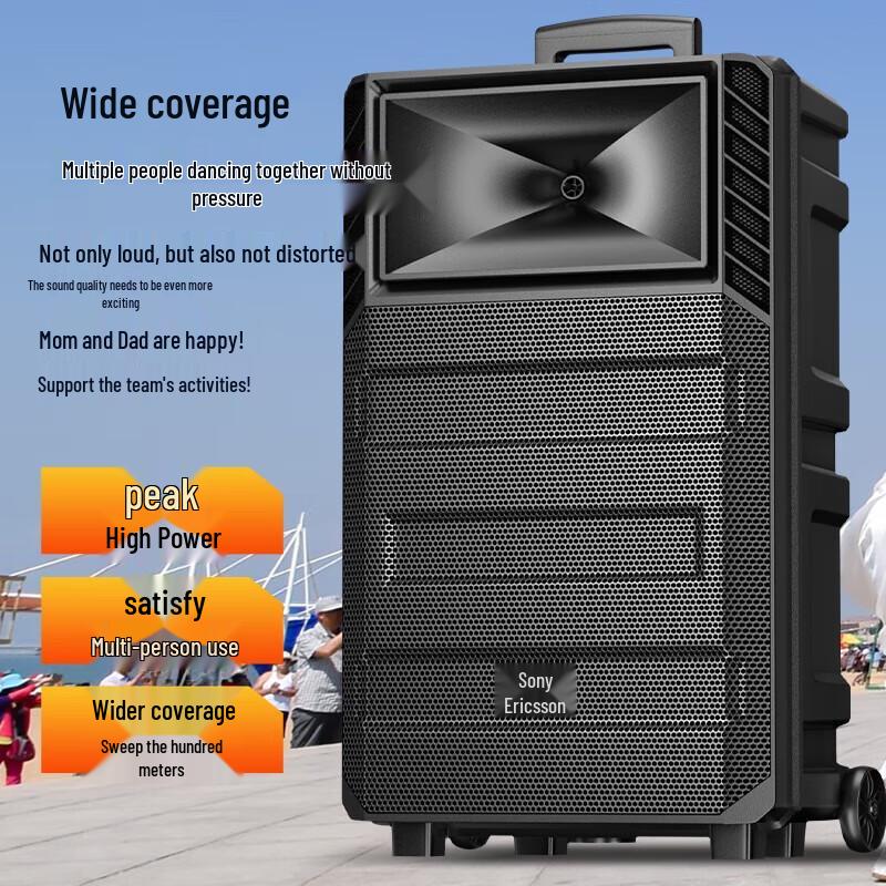 Suoai 12-inch Portable Bluetooth KTV Speaker