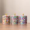 European Painted Ceramic Candy Jar Home Portable Tea Jar Multifunctional Jewelry Food Coffee Bean Storage Bottle Home Decoration