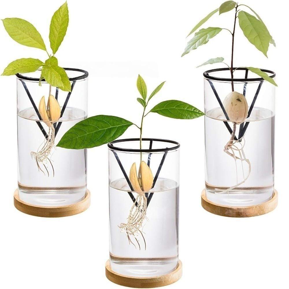 3Pcs Stable Avocado Growing Triangular Holder Cone-shaped Gardening Vase Holders Home Indoor Desk