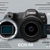Canon Полнокадровая беззеркальная камера EOS R8 (Китайская версия)