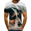 Summer Round Neck 3D Pet Dog Print Top Fashionable Casual Short Sleeved Men's T-shirts