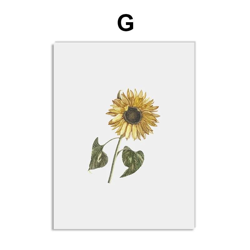 Винтажные постеры с дикими растениями, ботанические цветочные принты, картины на холсте, современные настенные художественные картины для гостиной, украшения дома