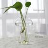 Садоводство Украшения для гостиной Стеклянная ваза Ваза Гидропонный контейнер Гидропонная ваза