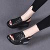 Wedge Heel Non-slip Sandals Women's Summer 2025 New Black Versatile Hollow Embroidery Heightening Casual Women's Cool Slippers