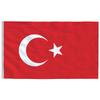 VidaXL Flag of Turkey and 5.55 M Pole Aluminum 3147145