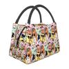 Chikn Nuggit Insulated Lunch Bag for Women Bento Storage Food Boxes Leakproof Container Cooler Thermal Lunch Box Tote