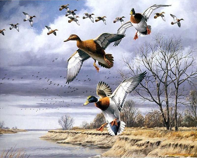 Алмазная живопись Новый Пейзаж Красные Цветы 5D Алмазная Вышивка Крестом Закат Панда Белый Тигр Животные Стразы Мозаика Настенное Искусство