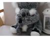 Koala Plush Toy - Cute Children's Gift