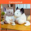 Plush Totoro Simulation Toys Cute Gray Mouse Dolls Cartoon Sitting Postures