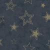 Holden DÃ©cor Stardust Wallpaper