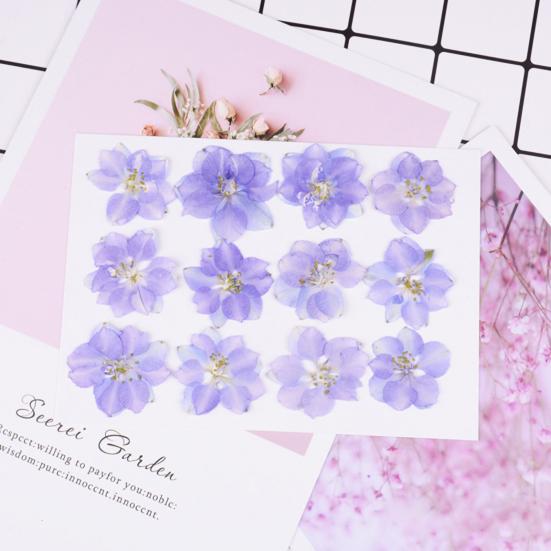 12Pcs Dried Flowers Creation Epoxy Resin DIY Pressed Long-lasting Dried Flowers