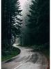 Nordic Nature Landscape Green Forest Road Mountain Lake Poster Canvas Painting Wall Art For Modern Living Room Home Decoration