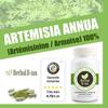 Биологически активная добавка Herbal D-tox Артемизинин ~ Полынь (Полынь однолетняя L) 100% Чистый, 100 капсул x 500 мг