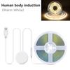 5V USB COB LED Strip Lights Hand Sweep Touch Sensor Dimmer Switch High Density Flexible LED Tape Bedroom Kitchen Mirror Lighting