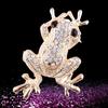 Gold Color Inlaid Rhinestone Frog Brooches For Women Trendy Classic Animal Brooch Pins Luxury Design Jewelry Gifts