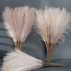 1/5 шт. INS Style Reed Pampas Grass Искусственные цветы Высококачественный букет Искусственные растения Бохо Домашний декор Спальня Сад Балкон
