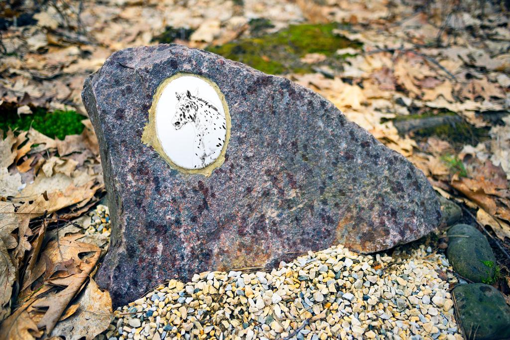 Noriker - commemorative plaque with a photo of a horse, tombstone plaque with a print, personalized oval plaque by Art-Dog brand