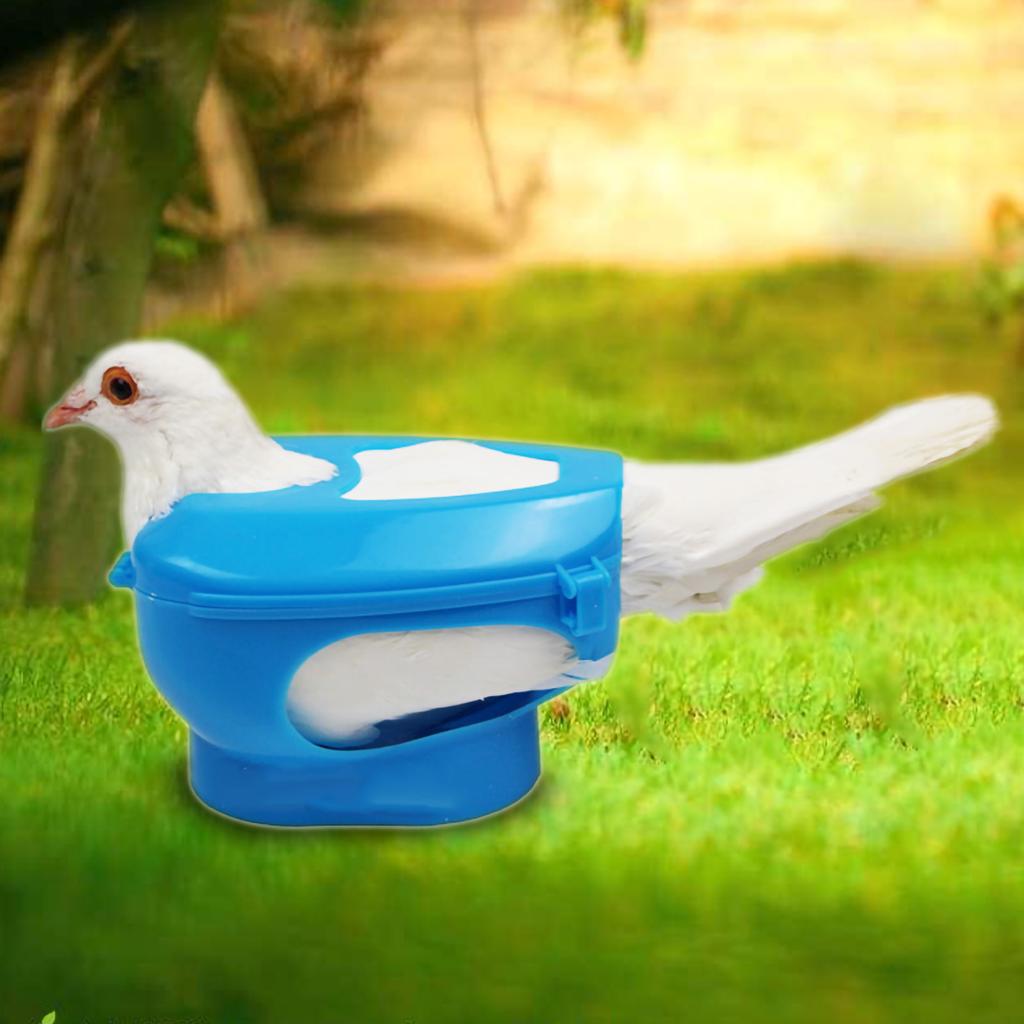 Plastic Pigeon Holder for Injection Feeding Fixed Mount Bird Supply(blue)