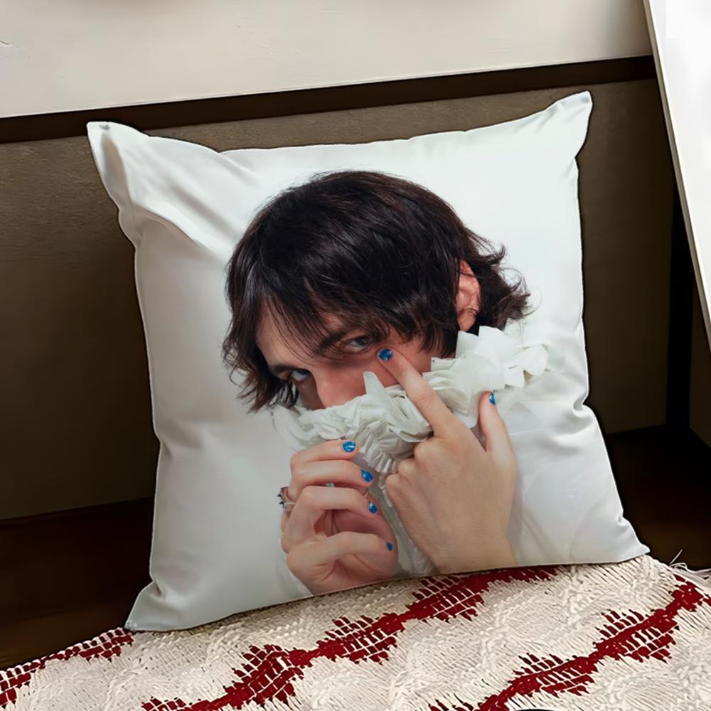 Singer PPorter RRobinson Cushion Cover Reversible Soft Durable Pillow Cover Home Car MultiScene Use for Daily Comfort