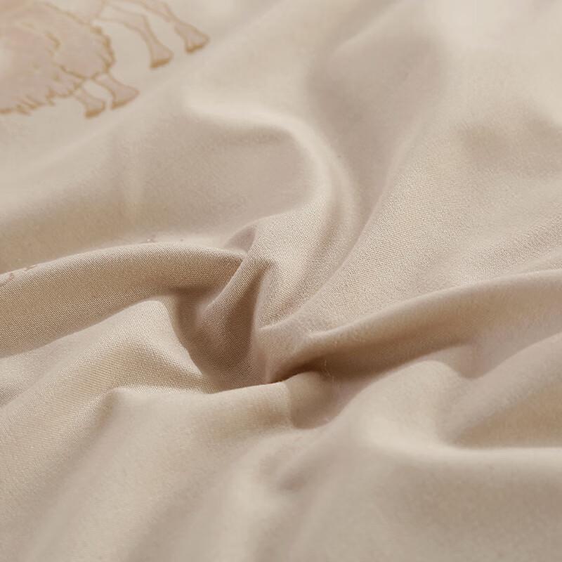 Thickened Warm Camel Hair Quilt