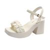 Female Shoes  Open Toe Women's Sandals Fashion Dress Sandals Women Pleated Platform Buckle Strap Chunky Heels Ladies Shoes