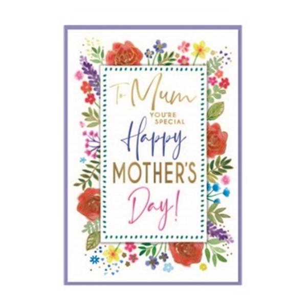 Simon Elvin You Are Special Mothers Day Greetings Card (Pack of 6)