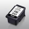 Canon PG-545 Black Ink Cartridge