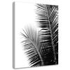 Canvas Print Palm Leaf Black White