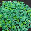 Colorful Mixed-Style Polymer Clay Pieces DIY Phone Case Materials Slime Fillers Nail Art Decorative Stickers