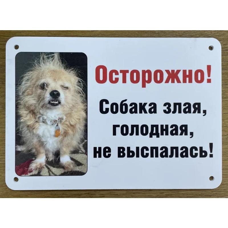 Собака может съесть смешную металлическую табличку 30x20см, Юмор о питомцах, Домашний настенный декор