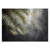 Wallpaper Palms Concrete Nature