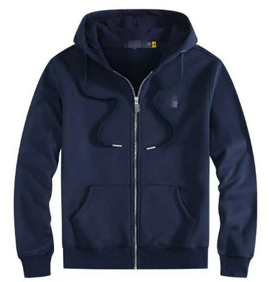 Men's Plush Lined Hooded Sweatshirt, Embroidered Loose Fit, Autumn/Winter Polo Style, Plus Size, RL Design