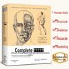Полное руководство по анатомии человека: Справочник по рисованию и скетчингу для начинающих