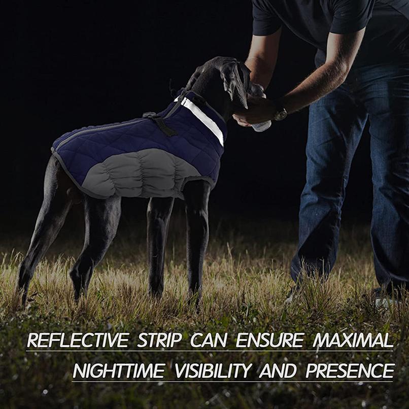 Winter Dog Jacket for Small Medium Dogs Clothes Reflective Puppy Padded Clothing Yorkie Vest Chihuahua French Bulldog