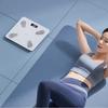 Xiangshan Smart Body Fat Scale