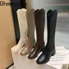 Fashion Vintage Women Slim Knee-High Boots Fashion Back Zippers Shoes Autumn Winter Thick Heel Ladies Stretch Modern Long Booties