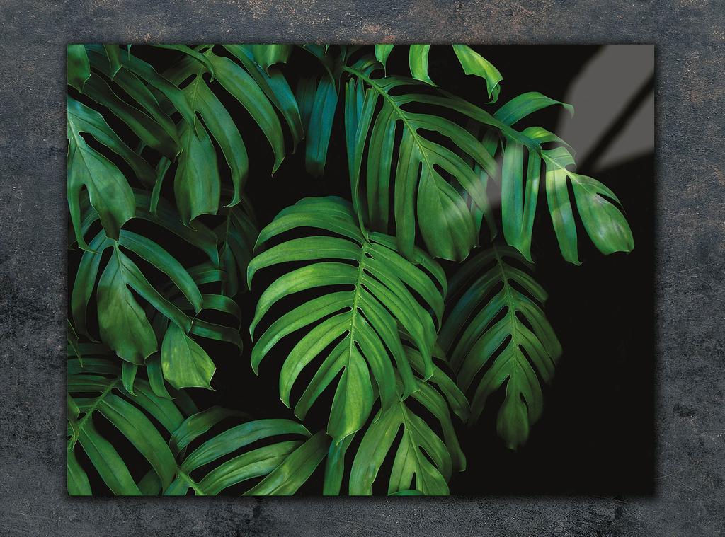 SZKLANA DESKA DO KROEJNIA 30x22 MONSTERA