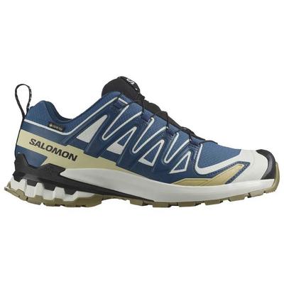 Кроссовки для трейлраннинга XA Pro 3D V9 Goretex