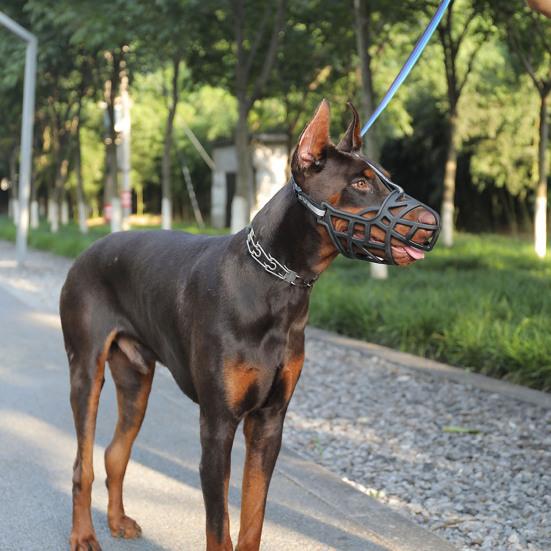 Дизайн пряжки для морды собаки Инновационный Износостойкий Прочный Устойчивый к разрыву Защита от укуса Полая защита от лая домашних животных