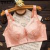 Thin Bra for Women with Steel Ring E Cup Plus Size Bra Push Up Bralette Sexy Lace Gather Adjustable Sensual Lingerie Fancy Underwear