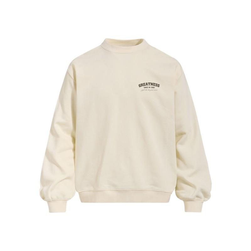 Mens Oversized Streetwear Crewneck Sweatshirt With Letter Print Fall Casual Long Sleeve Top