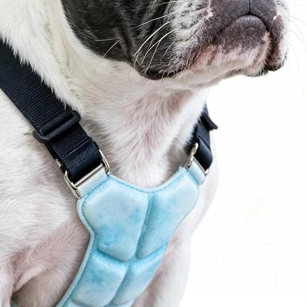 Padded Design Pet Cooling Vest PCM Technology Dog Cooling Harness Adjustable Pet Harness Travel