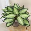 Большие искусственные листья сциндапсуса Элегантные имитированные растения Поддельные листья зеленых растений Свадебный декор