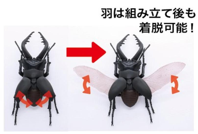 Free Research Series Living Creatures Stag Beetle Plastic Model No.22
