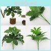 Wall Artificial Plant Decoration For Interior Design Props Photography