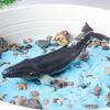 Трансграничные модели морских животных: Дельфин, Мегалодон, Горбатый кит, Косатка, Китовая акула, Акула-молот - Научно-образовательные украшения для детей