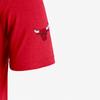 Nike Men's Jordan Chicago Bulls Logo Alphabet Printing Pattern Sports Short Sleeve Red T-Shirt DA6507-657