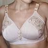 Fashion Women's Large Size Deep V Thin Adjustable Women's Bra Sexy Embroidered Comfort Bra Push Up No Wire Bra