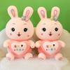 New Couple Rabbit Doll Plush Toys Hug Little Rabbit Pillow Year of Rabbit Mascot Birthday Gift for Women