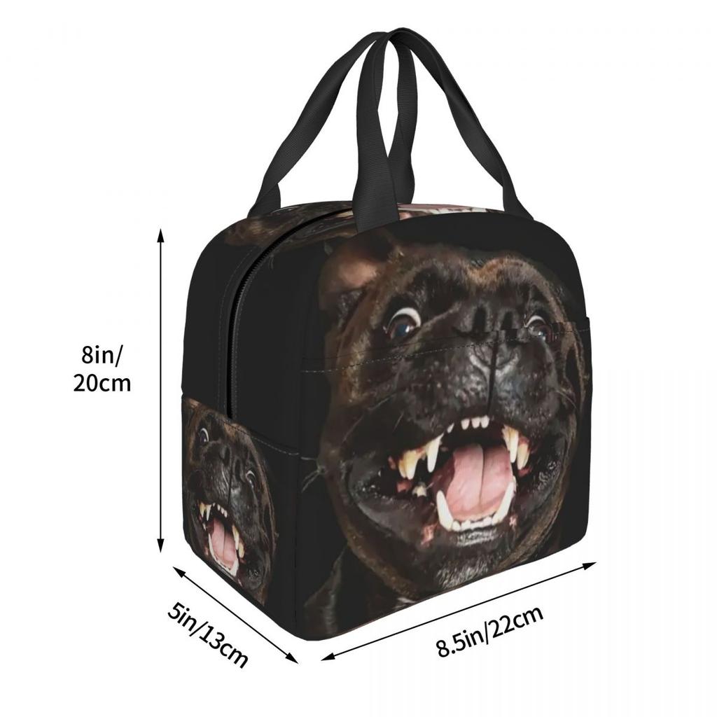 Staffordshire Bull Terrier Insulated Lunch Bag for Kids School Cooler Thermal Food Box Tote Leakproof Lunch Boxes Container